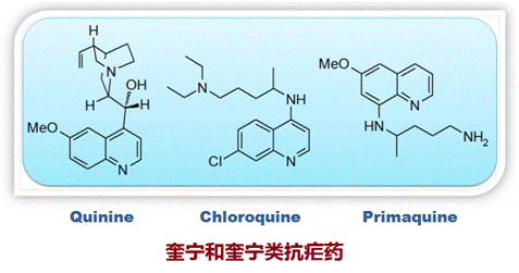 奎宁和奎宁类抗疟药.gif